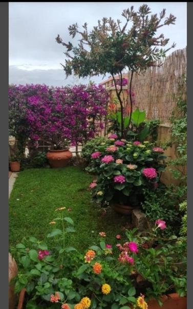 Villa Casa Mariangela à Olbia Extérieur photo