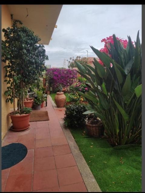 Villa Casa Mariangela à Olbia Extérieur photo